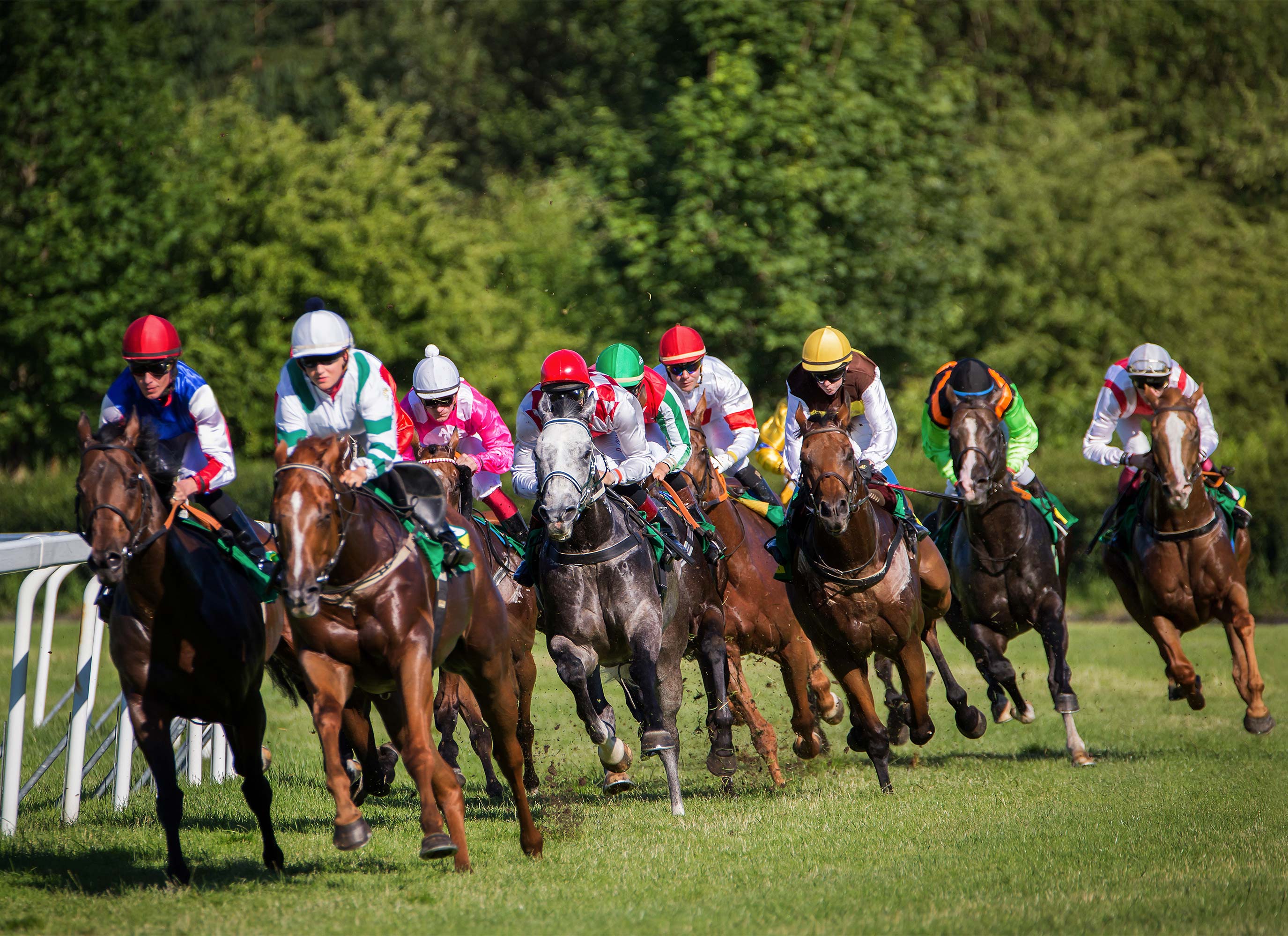 Horses Racing