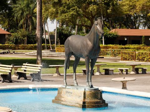 Horse statue fountain